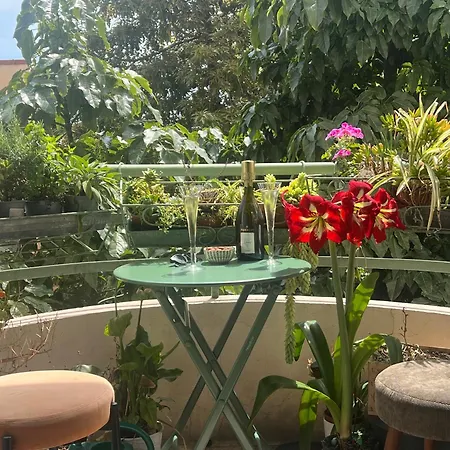 דירה Le Palais Antibois *