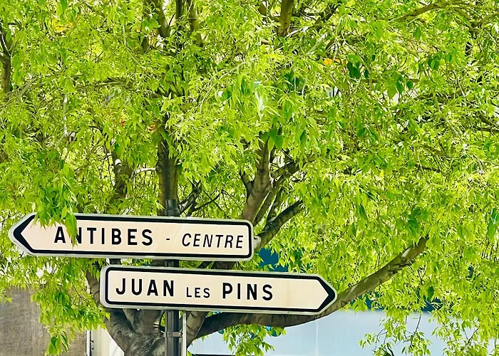 公寓 Le Palais Antibois *